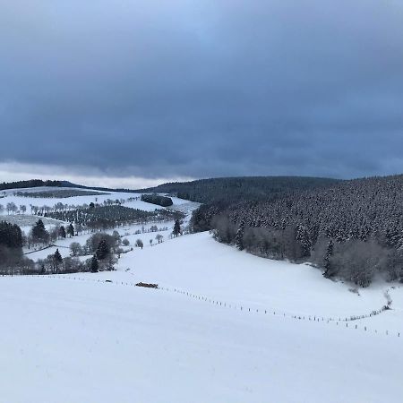 Appartement Familie Willems Winterberg 3 外观 照片