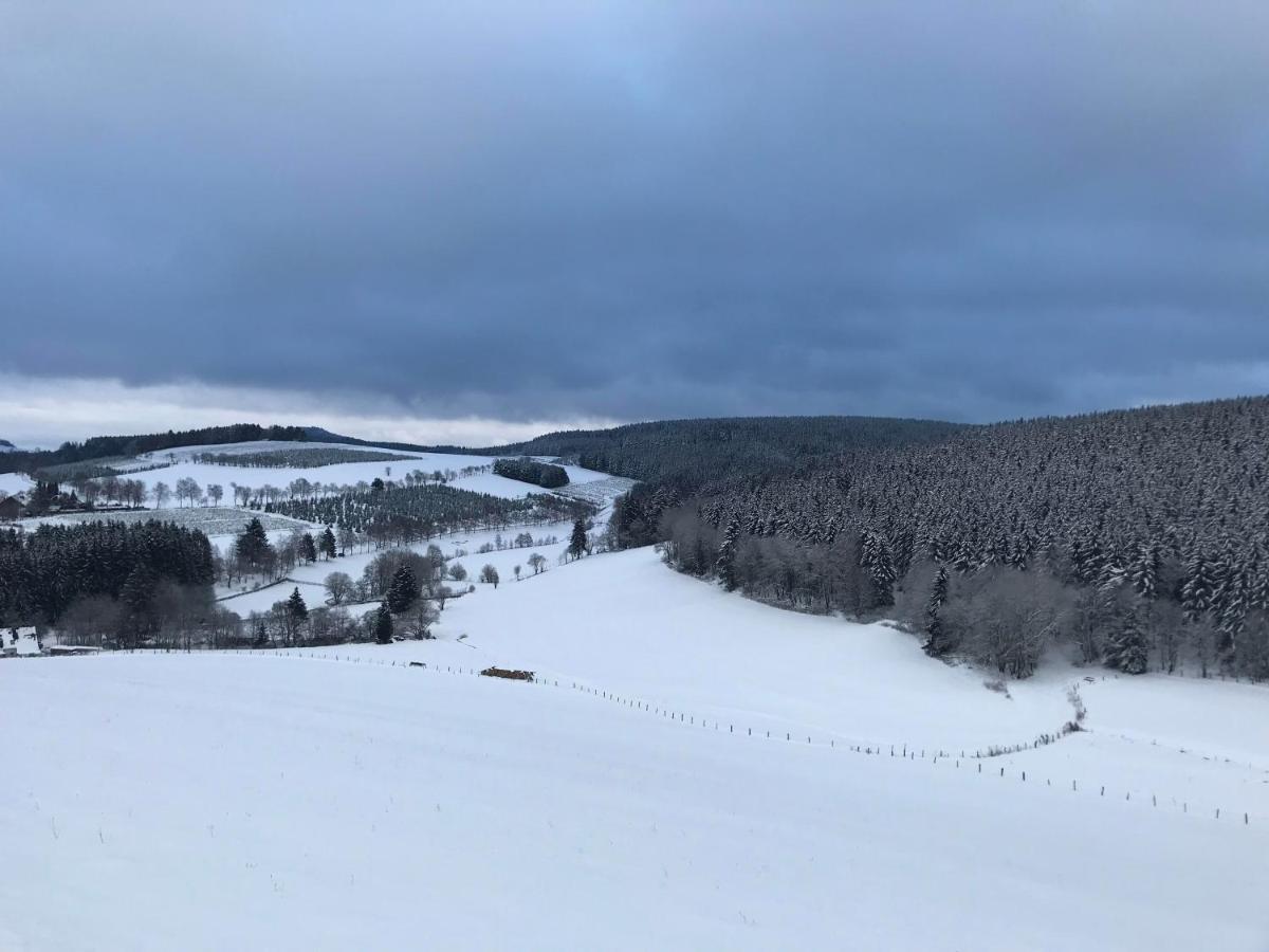 Appartement Familie Willems Winterberg 3 外观 照片