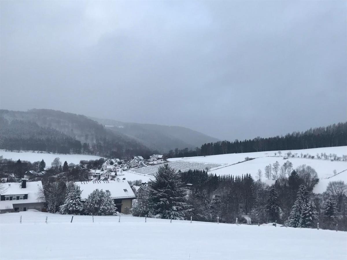 Appartement Familie Willems Winterberg 3 外观 照片